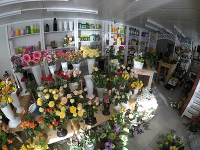 Kwiaciarnia bukiecik, kwiaciarnia ostrów